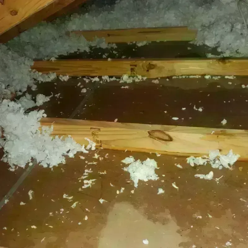 Attic Water Damage in Ruston, LA