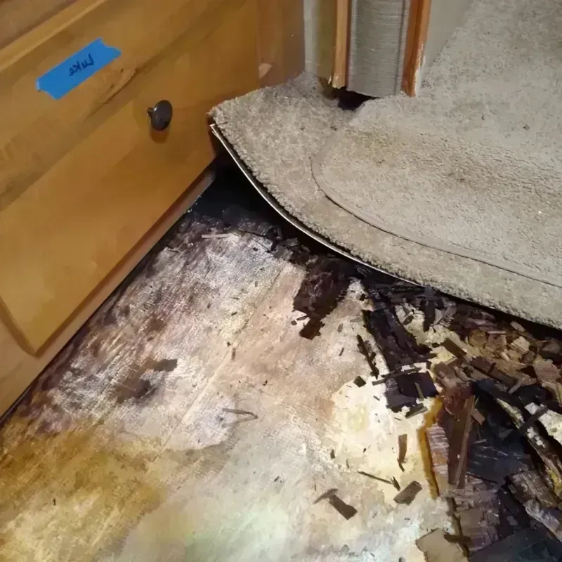 Wood Floor Water Damage in Ruston, LA